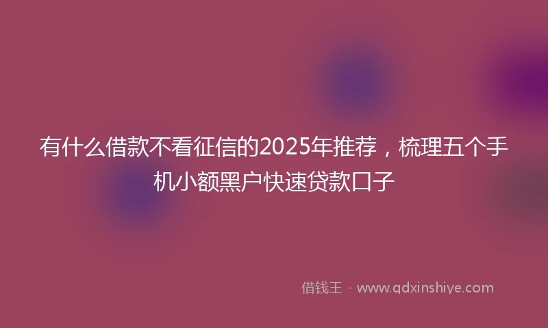 有什么借款不看征信的2025年推荐，梳理五个手机小额黑户快速贷款口子