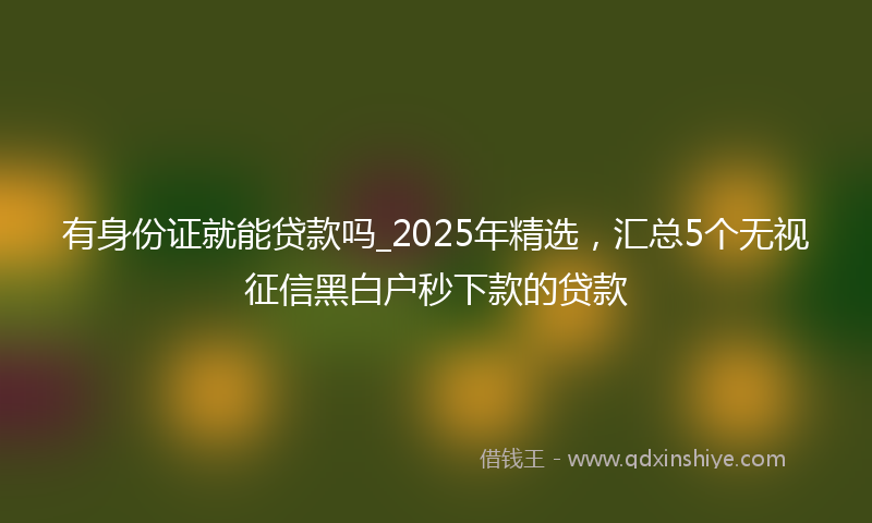 有身份证就能贷款吗_2025年精选，汇总5个无视征信黑白户秒下款的贷款