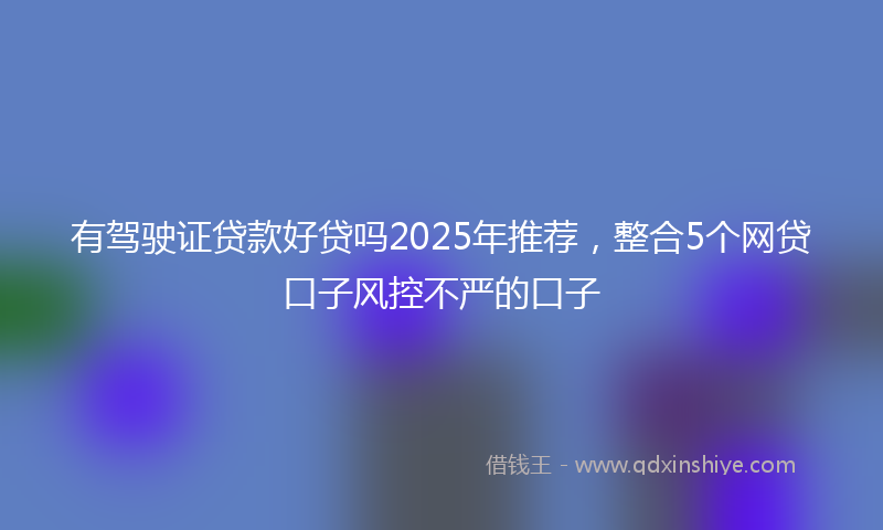 有驾驶证贷款好贷吗2025年推荐，整合5个网贷口子风控不严的口子