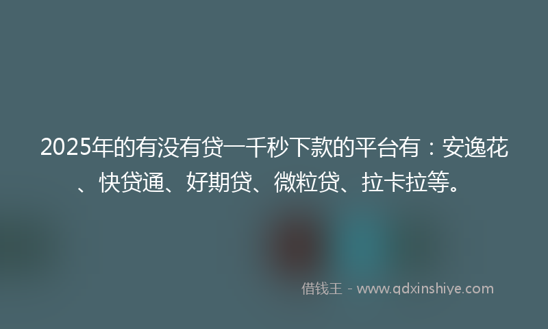2025年的有没有贷一千秒下款的平台有：安逸花、快贷通、好期贷、微粒贷、拉卡拉等。