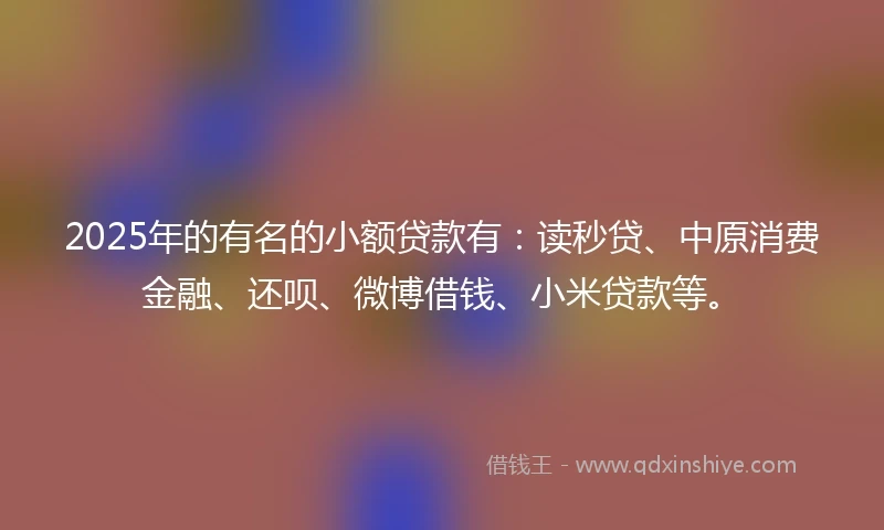 2025年的有名的小额贷款有：读秒贷、中原消费金融、还呗、微博借钱、小米贷款等。
