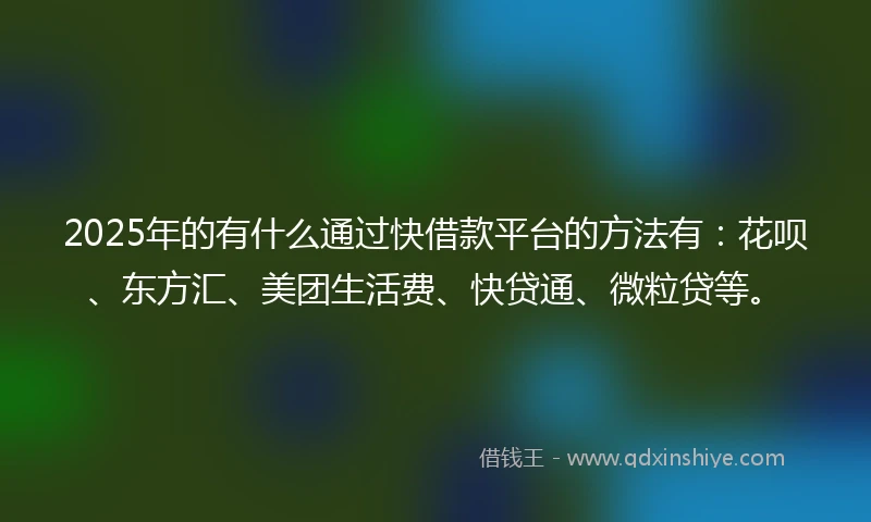 2025年的有什么通过快借款平台的方法有：花呗、东方汇、美团生活费、快贷通、微粒贷等。