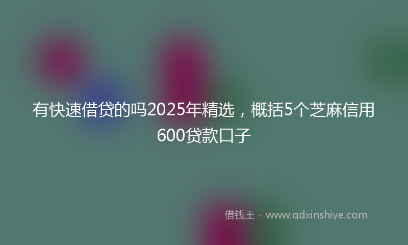 有快速借贷的吗2025年精选，概括5个芝麻信用600贷款口子