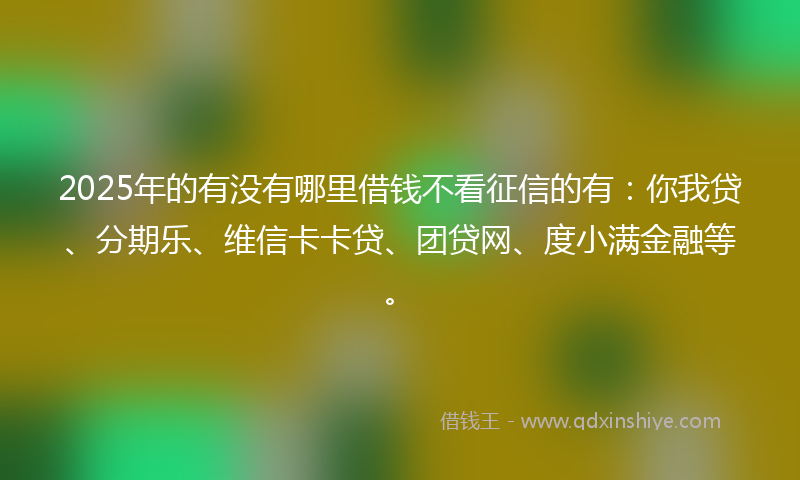 2025年的有没有哪里借钱不看征信的有：你我贷、分期乐、维信卡卡贷、团贷网、度小满金融等。