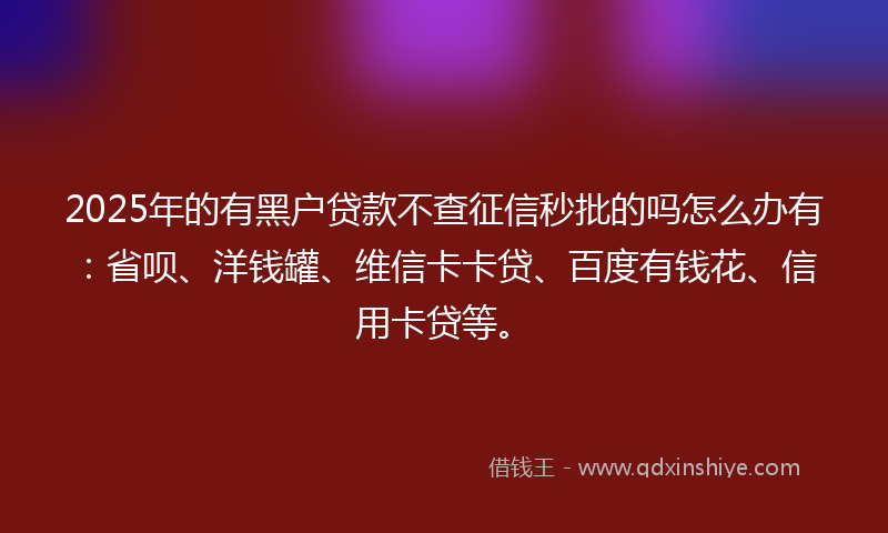 2025年的有黑户贷款不查征信秒批的吗怎么办有：省呗、洋钱罐、维信卡卡贷、百度有钱花、信用卡贷等。