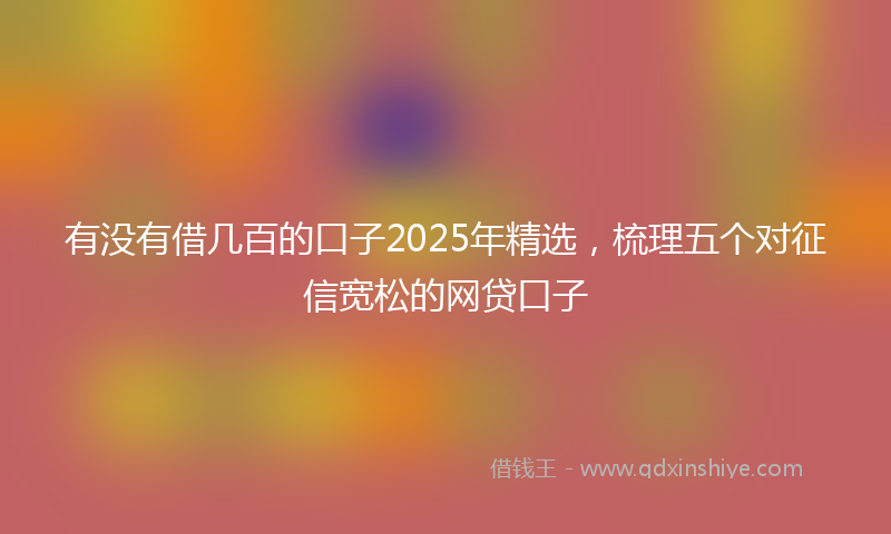 有没有借几百的口子2025年精选，梳理五个对征信宽松的网贷口子