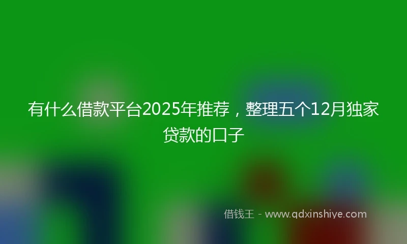 有什么借款平台2025年推荐，整理五个12月独家贷款的口子