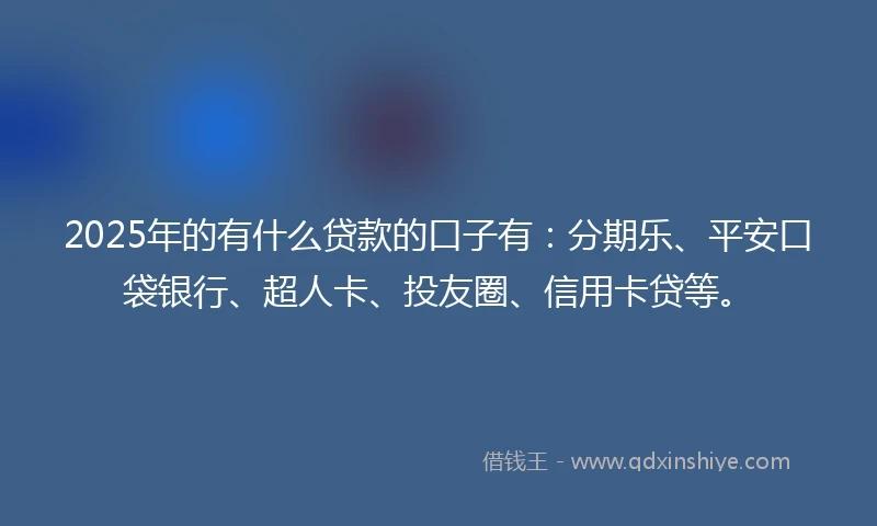 2025年的有什么贷款的口子有：分期乐、平安口袋银行、超人卡、投友圈、信用卡贷等。