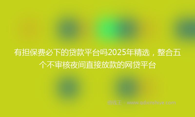 有担保费必下的贷款平台吗2025年精选，整合五个不审核夜间直接放款的网贷平台