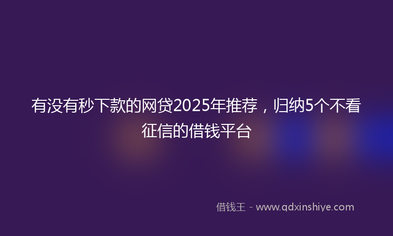 有没有秒下款的网贷2025年推荐，归纳5个不看征信的借钱平台