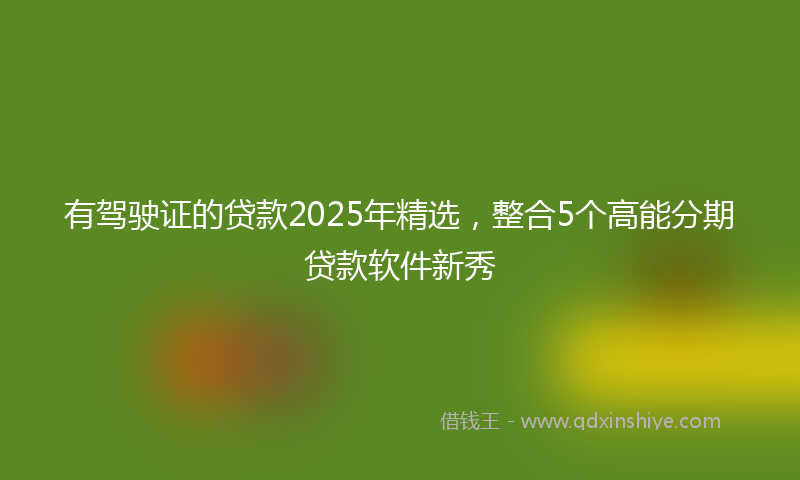 有驾驶证的贷款2025年精选，整合5个高能分期贷款软件新秀