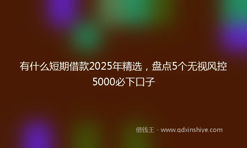 有什么短期借款2025年精选,盘点5个无视风控5000必下口子