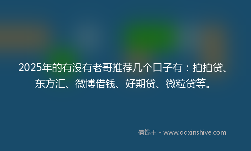 2025年的有没有老哥推荐几个口子有：拍拍贷、东方汇、微博借钱、好期贷、微粒贷等。