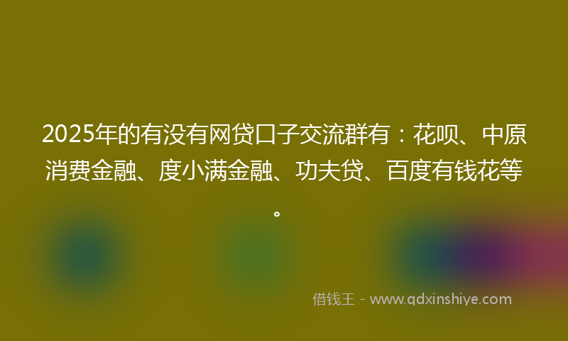 2025年的有没有网贷口子交流群有：花呗、中原消费金融、度小满金融、功夫贷、百度有钱花等。