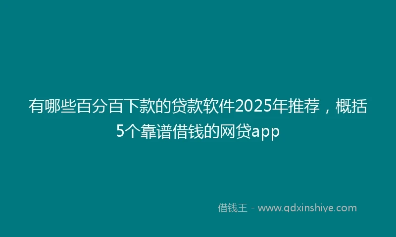 有哪些百分百下款的贷款软件2025年推荐，概括5个靠谱借钱的网贷app