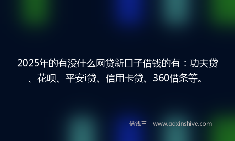 2025年的有没什么网贷新口子借钱的有：功夫贷、花呗、平安i贷、信用卡贷、360借条等。