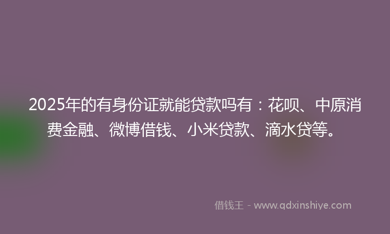 2025年的有身份证就能贷款吗有：花呗、中原消费金融、微博借钱、小米贷款、滴水贷等。