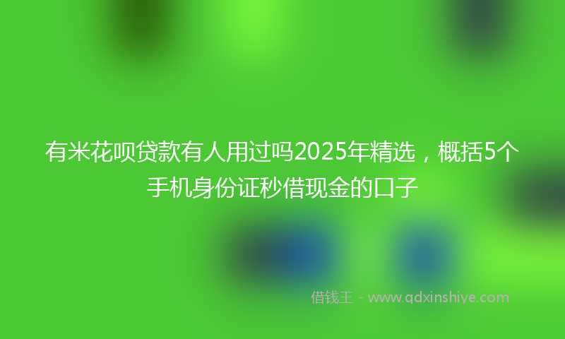 有米花呗贷款有人用过吗2025年精选，概括5个手机身份证秒借现金的口子