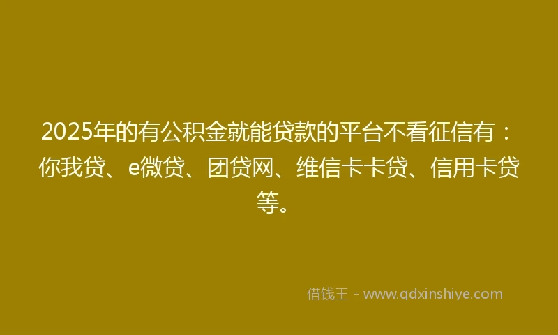 2025年的有公积金就能贷款的平台不看征信有：你我贷、e微贷、团贷网、维信卡卡贷、信用卡贷等。