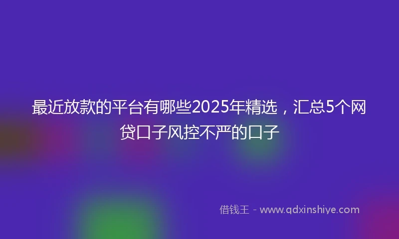 最近放款的平台有哪些2025年精选,汇总5个网贷口子风控不严的口子