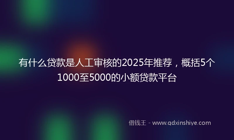 有什么贷款是人工审核的2025年推荐，概括5个1000至5000的小额贷款平台
