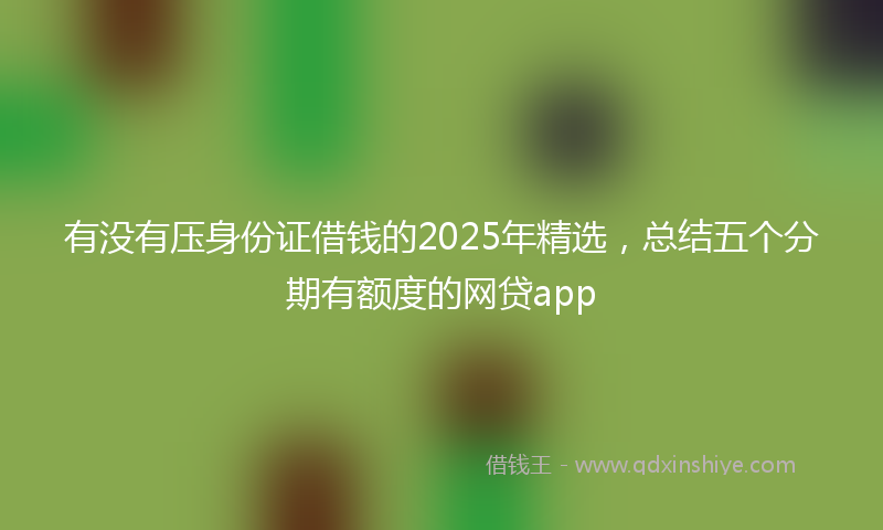 有没有压身份证借钱的2025年精选，总结五个分期有额度的网贷app