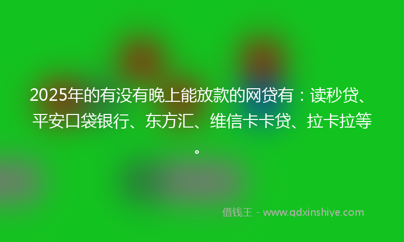 2025年的有没有晚上能放款的网贷有：读秒贷、平安口袋银行、东方汇、维信卡卡贷、拉卡拉等。