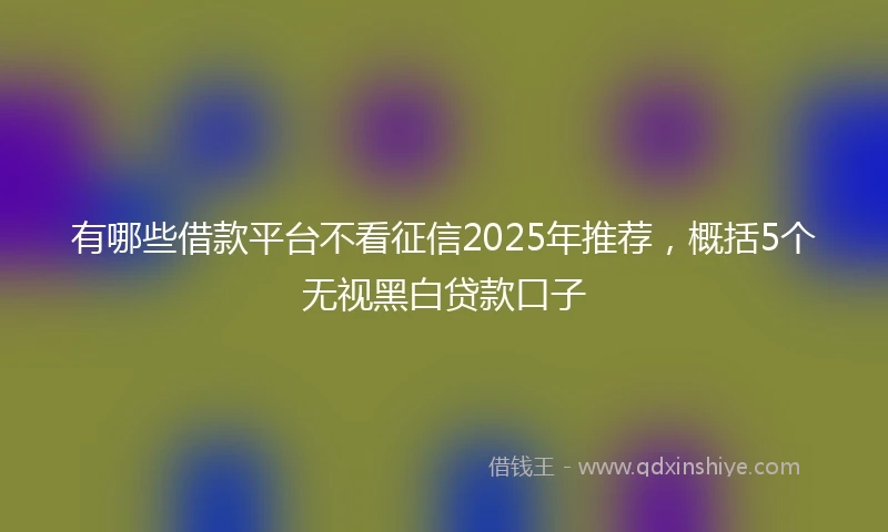 有哪些借款平台不看征信2025年推荐，概括5个无视黑白贷款口子