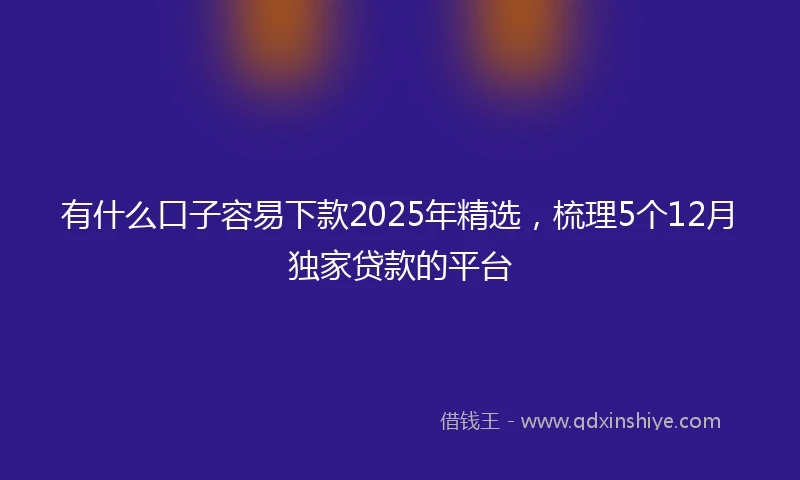 有什么口子容易下款2025年精选，梳理5个12月独家贷款的平台
