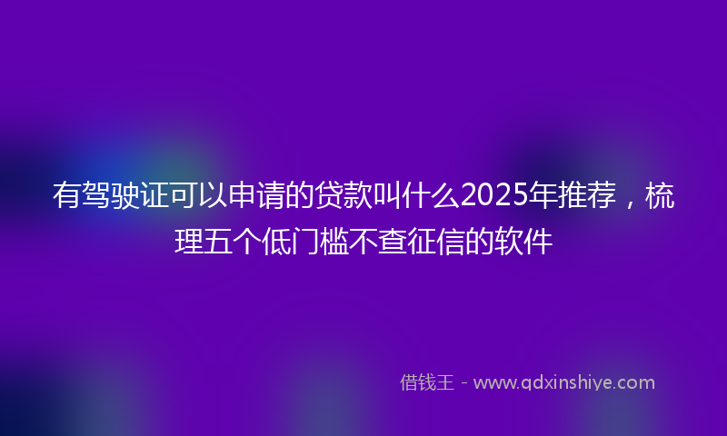 有驾驶证可以申请的贷款叫什么2025年推荐，梳理五个低门槛不查征信的软件