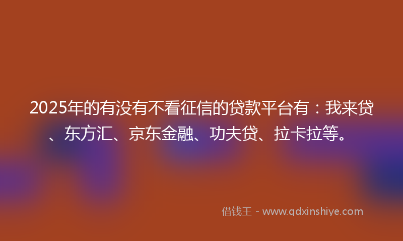 2025年的有没有不看征信的贷款平台有：我来贷、东方汇、京东金融、功夫贷、拉卡拉等。