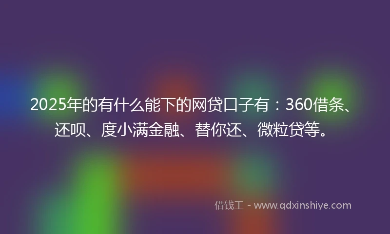 2025年的有什么能下的网贷口子有：360借条、还呗、度小满金融、替你还、微粒贷等。