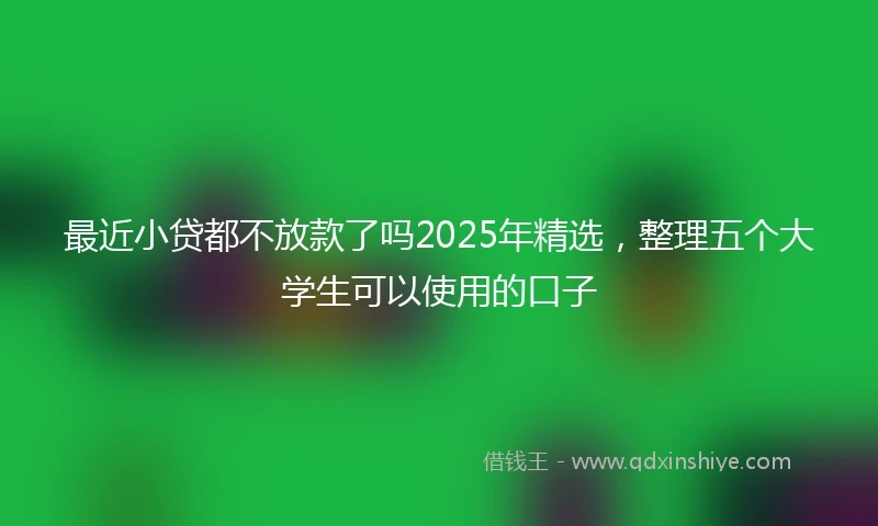 最近小贷都不放款了吗2025年精选，整理五个大学生可以使用的口子
