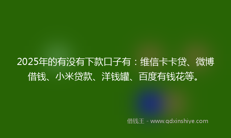2025年的有没有下款口子有：维信卡卡贷、微博借钱、小米贷款、洋钱罐、百度有钱花等。
