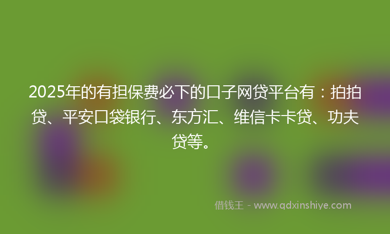 2025年的有担保费必下的口子网贷平台有：拍拍贷、平安口袋银行、东方汇、维信卡卡贷、功夫贷等。