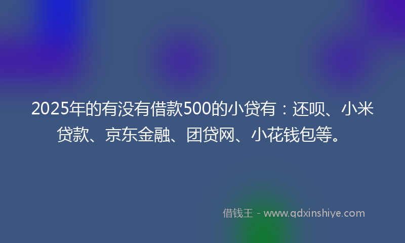 2025年的有没有借款500的小贷有：还呗、小米贷款、京东金融、团贷网、小花钱包等。