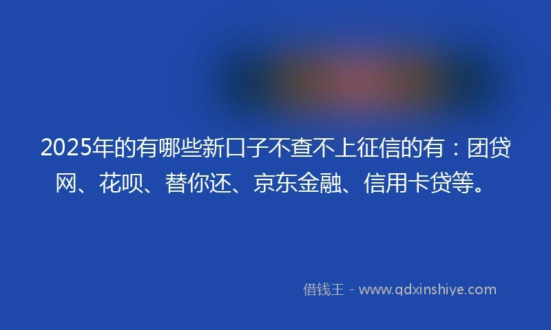 2025年的有哪些新口子不查不上征信的有：团贷网、花呗、替你还、京东金融、信用卡贷等。