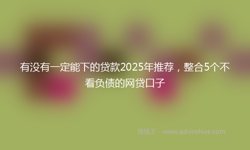 有没有一定能下的贷款2025年推荐，整合5个不看负债的网贷口子