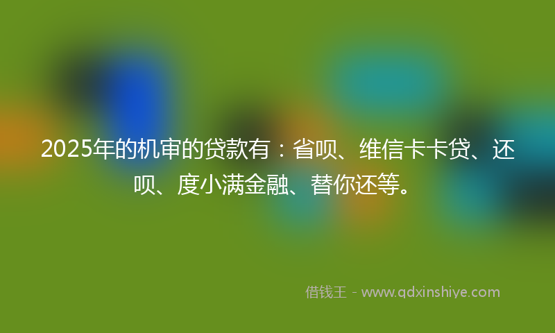 2025年的机审的贷款有：省呗、维信卡卡贷、还呗、度小满金融、替你还等。