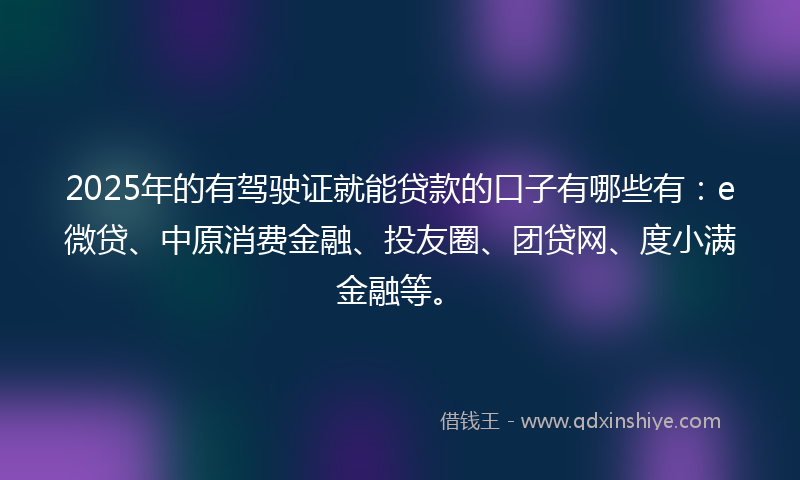 2025年的有驾驶证就能贷款的口子有哪些有：e微贷、中原消费金融、投友圈、团贷网、度小满金融等。