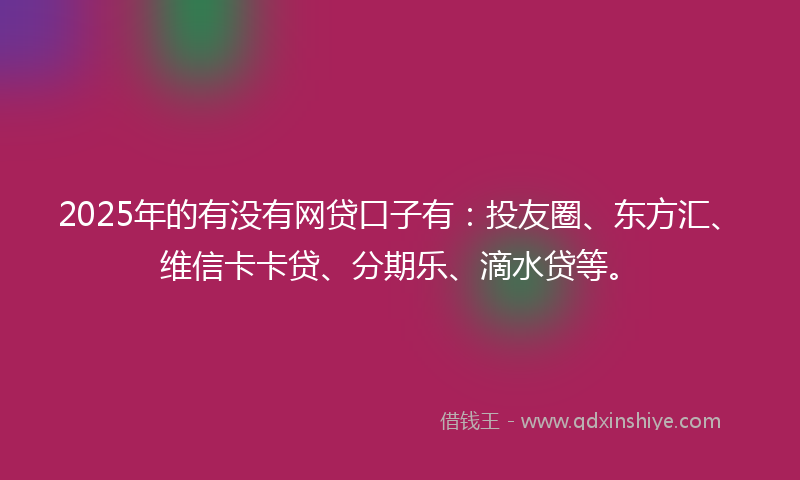 2025年的有没有网贷口子有：投友圈、东方汇、维信卡卡贷、分期乐、滴水贷等。
