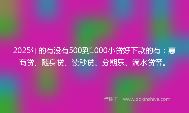 2025年的有没有500到1000小贷好下款的有：惠商贷、随身贷、读秒贷、分期乐、滴水贷等。