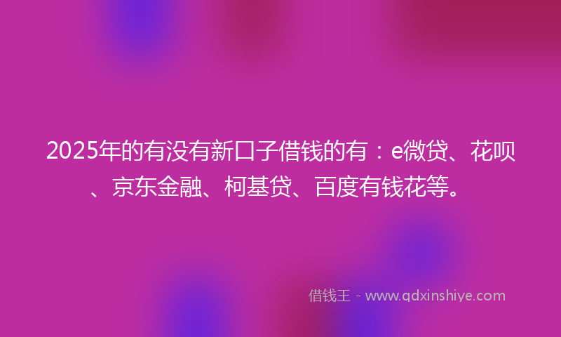 2025年的有没有新口子借钱的有：e微贷、花呗、京东金融、柯基贷、百度有钱花等。