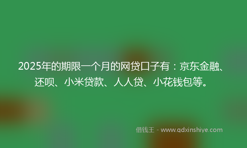 2025年的期限一个月的网贷口子有：京东金融、还呗、小米贷款、人人贷、小花钱包等。