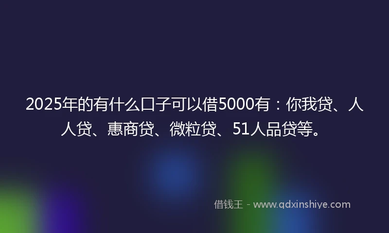 2025年的有什么口子可以借5000有：你我贷、人人贷、惠商贷、微粒贷、51人品贷等。