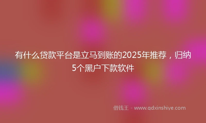 有什么贷款平台是立马到账的2025年推荐，归纳5个黑户下款软件