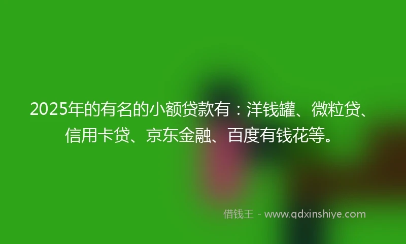 2025年的有名的小额贷款有：洋钱罐、微粒贷、信用卡贷、京东金融、百度有钱花等。