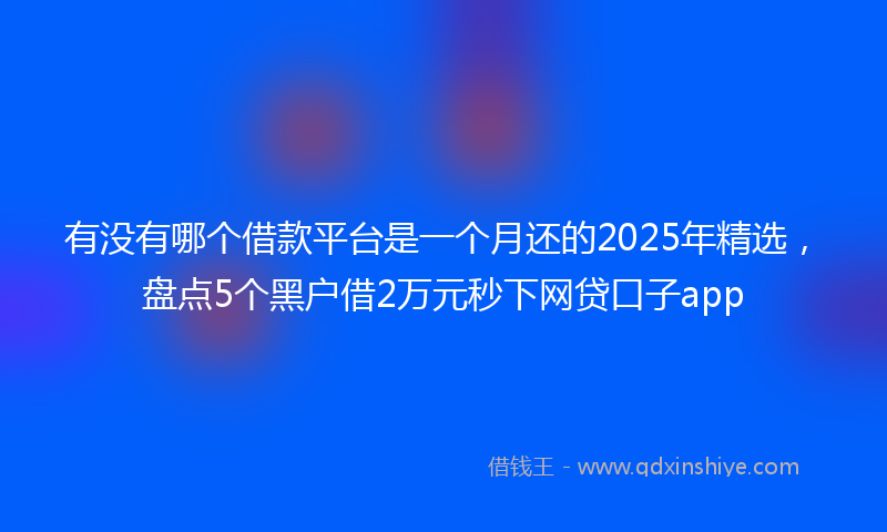 有没有哪个借款平台是一个月还的2025年精选，盘点5个黑户借2万元秒下网贷口子app