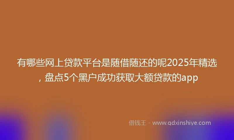 有哪些网上贷款平台是随借随还的呢2025年精选，盘点5个黑户成功获取大额贷款的app