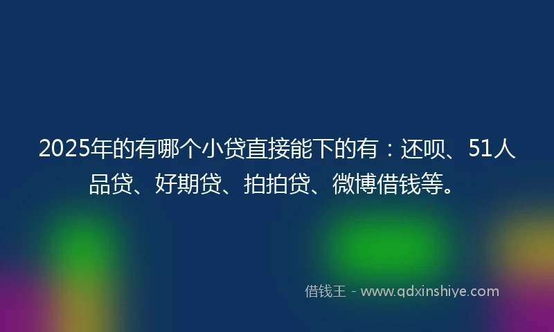 2025年的有哪个小贷直接能下的有：还呗、51人品贷、好期贷、拍拍贷、微博借钱等。